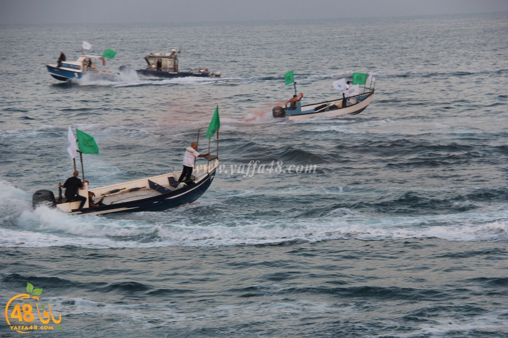 iste3rad sayaden yaffa (23).JPG